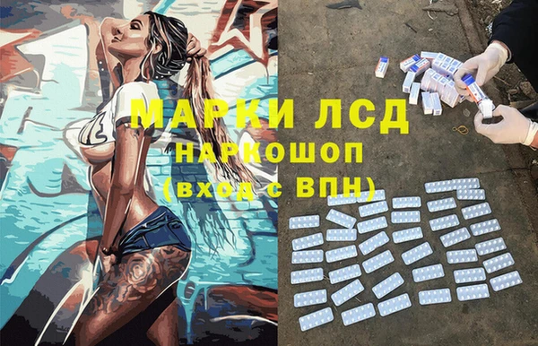 сатива Богородицк