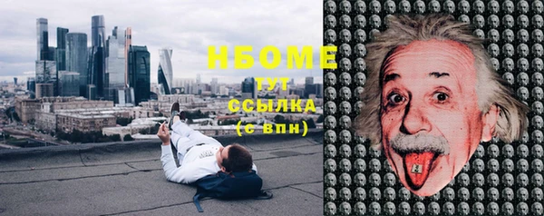 амф Богданович