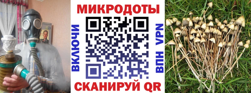 Галлюциногенные грибы MAGIC MUSHROOMS  omg маркетплейс  площадка телеграм  Димитровград 