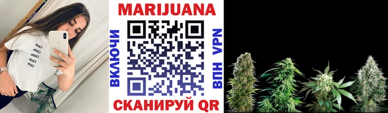 Шишки марихуана конопля Димитровград
